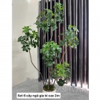 Cây Ngũ Gia Bì Giả Cao Cấp 